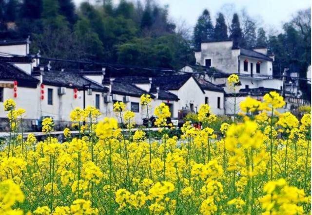 Xishan Wutong Qinyuan Хуаншань Екстер'єр фото