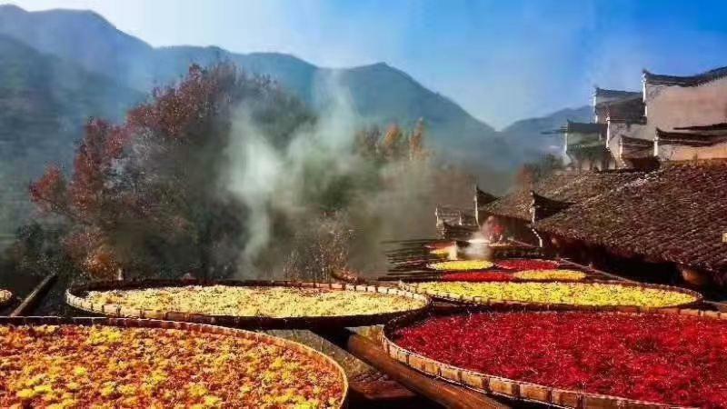 Xishan Wutong Qinyuan Хуаншань Екстер'єр фото