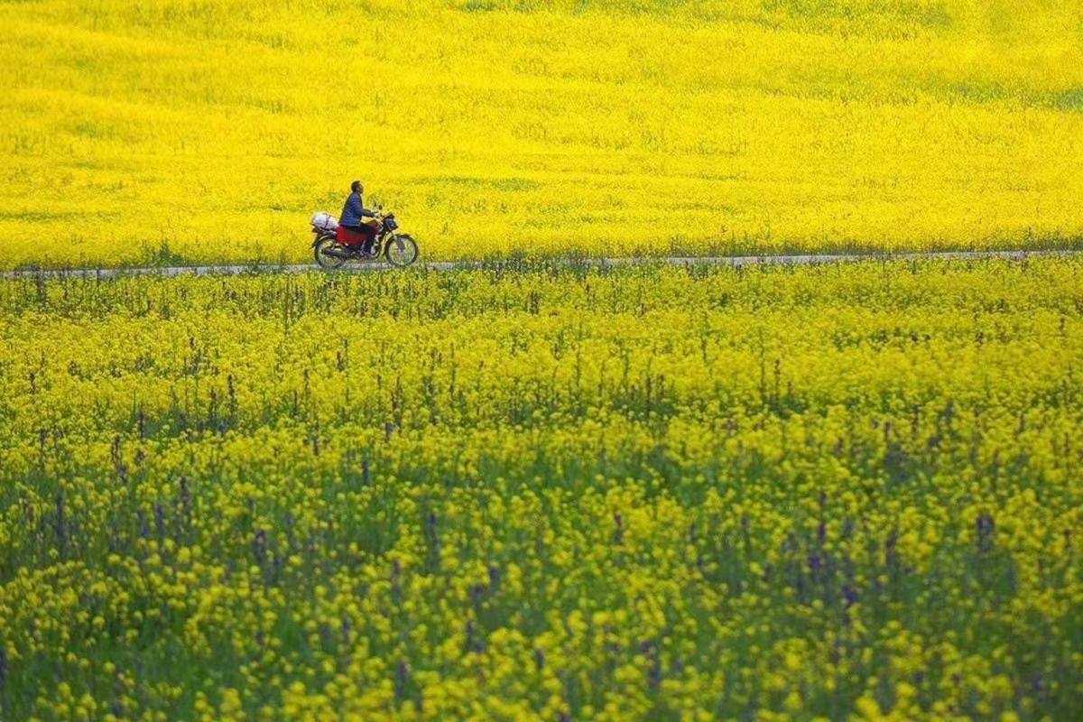 Xishan Wutong Qinyuan Хуаншань Екстер'єр фото